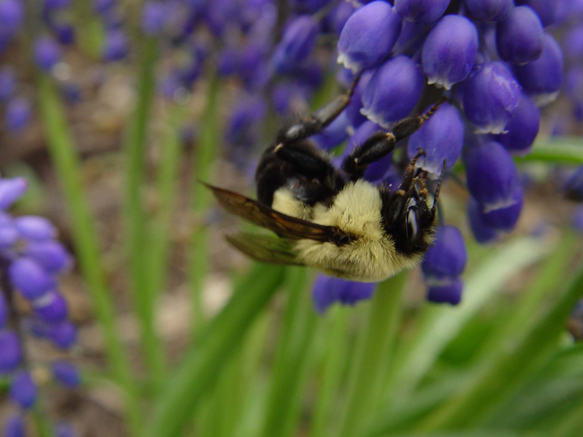DSC04815.JPG