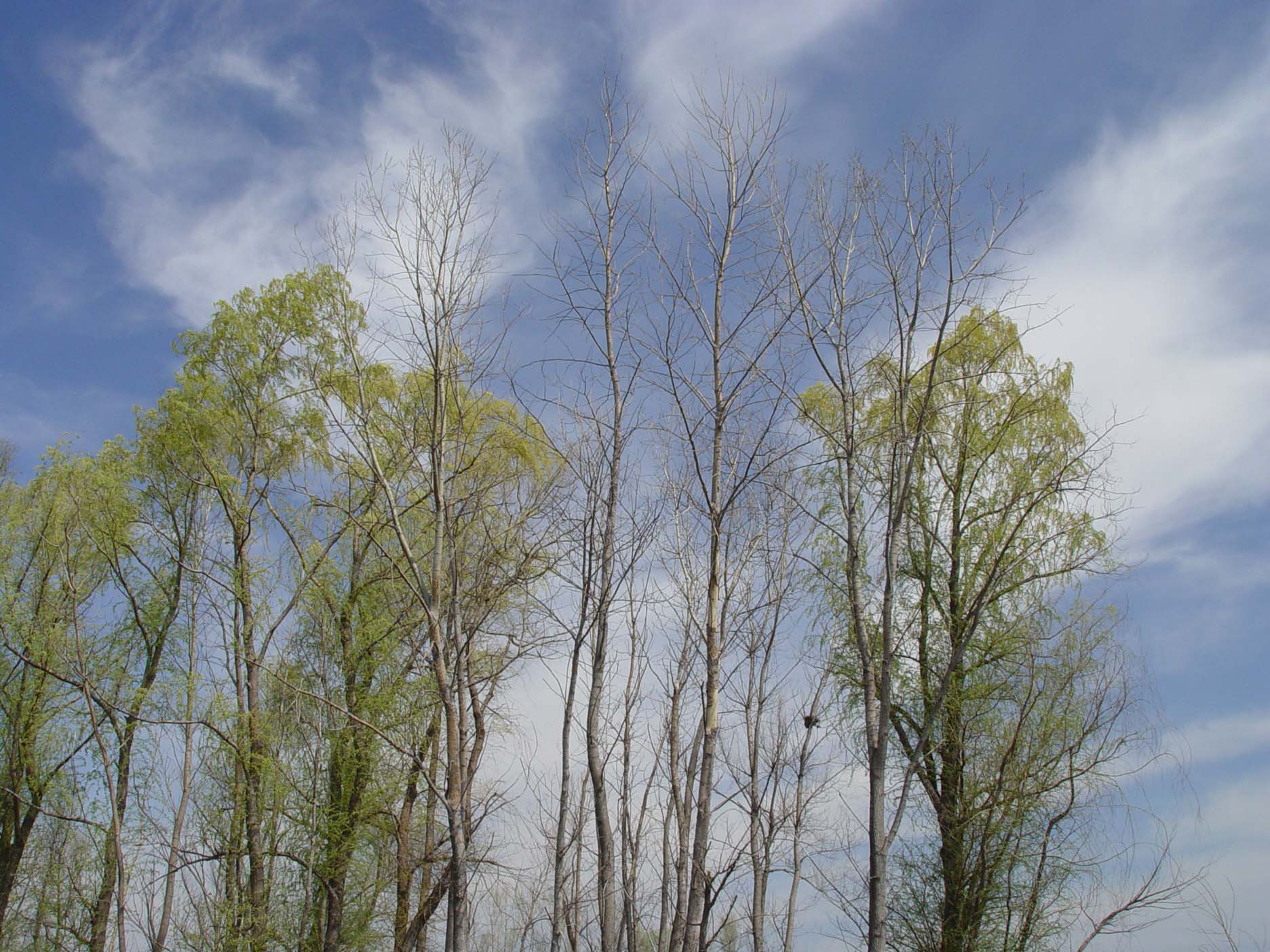 DSC03673.JPG