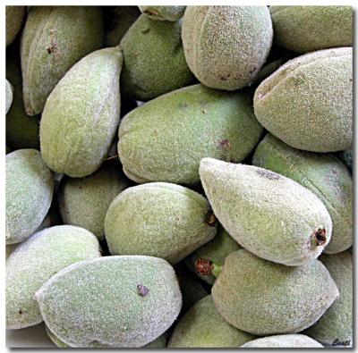 13-05-2004 - Green Almonds