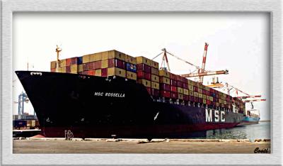 MSC ROSSELLA-1 - Container ship