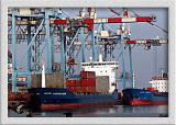 M/V Celtic Ambassador
