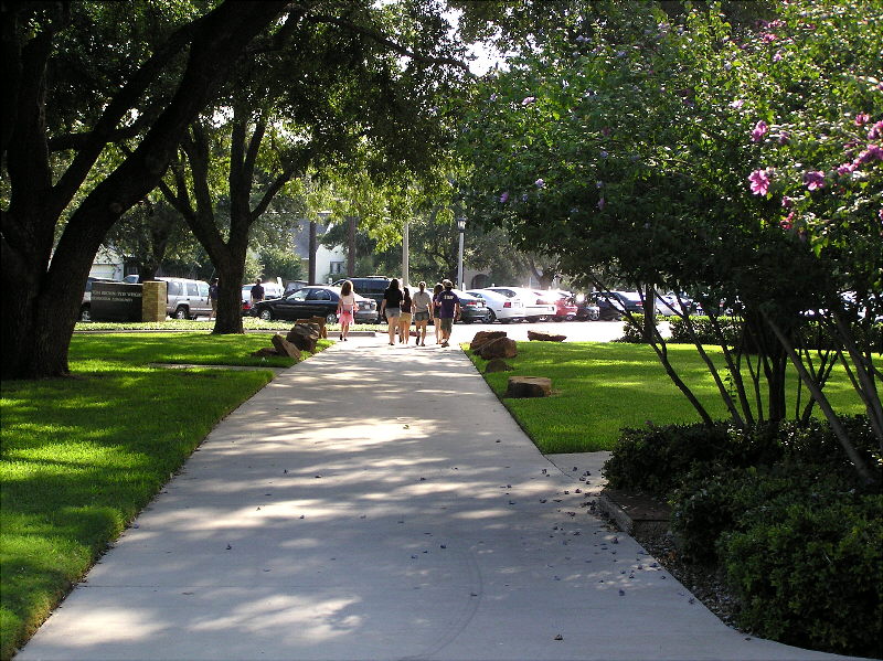 Fans Going to Game