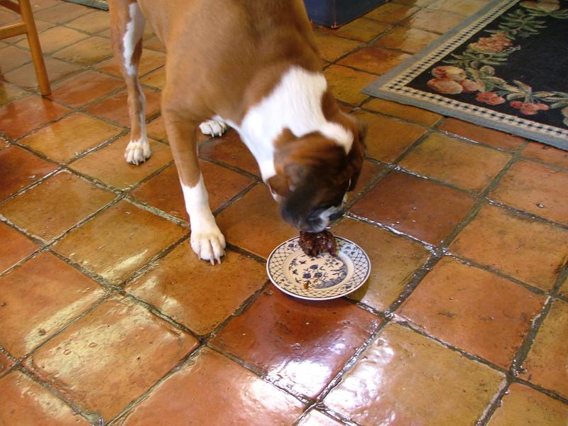 DSCF2098.JPG
