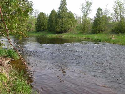 Section 1 - upstream view