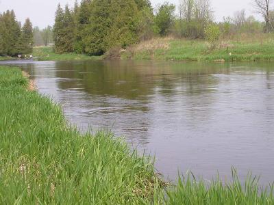 Section 3 - upstream view