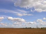 clouds over beanfields  --  Oct--3--2004