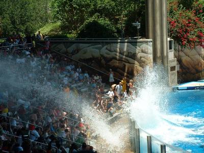 Shamu Soak Zone - Seaworld