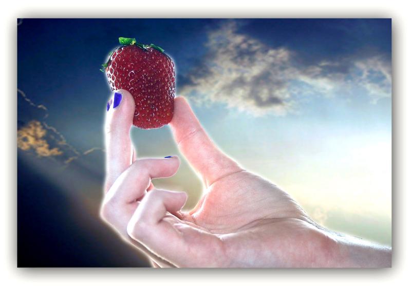 <b>Holy Strawberry</b><BR> <i>by Billy Webb</i>