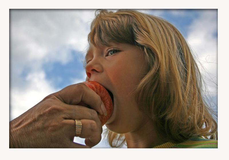 <b>Grandmas Apple</b><br><i>by Billy Webb</i>