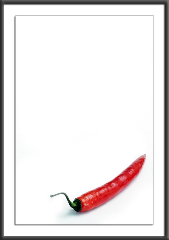<b>Chilli</b><br><i>by Ian Chappell</i>