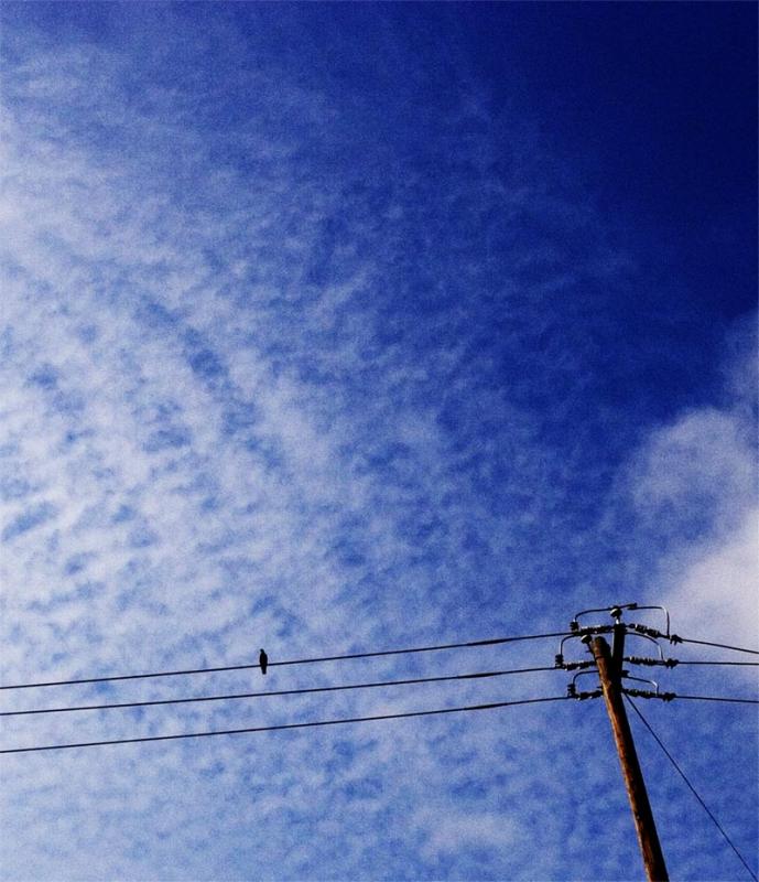 At Rest *