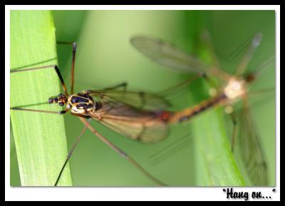 'Hang on...'by Jon M