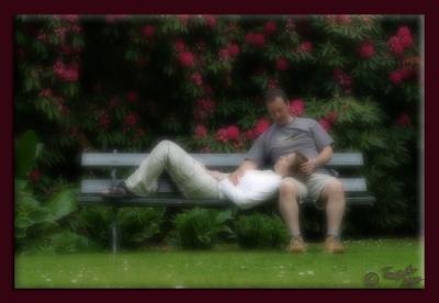 The Bench *by Teapot