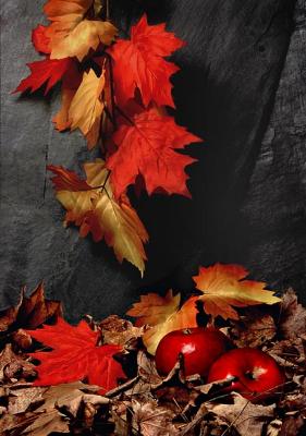 Autumn Apples by T. Rotkiewicz