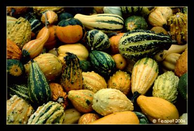 Gourds *by Teapot
