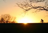 <b>Passion Yields Persistence*</b><br> <i>by Chris O.</i>