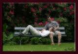 <b>The Bench *</b><br><i>by Teapot</i>
