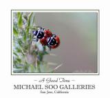<B>Love-making lessons from the Experts</B><BR><i>by Michael Soo</i>