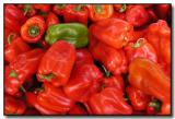 One Green Pepper