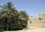 <b>Oasis *</b><BR> <i> by Wonderbaby</i>