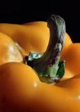 <b>Pepper</b><BR> <i>by T. Rotkiewicz</i>
