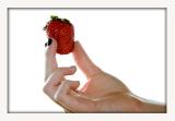 <b>Original Strawberry</b><BR> <i>by Billy Webb</i>