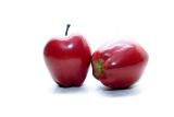 <b>Shes Apples</b>