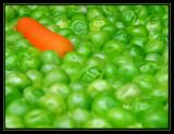 <b>Odd One Out *</b><br><i>PhotoKhan</i>