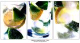 lemon compilation - two * by tobias heer