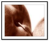 <b>Apples *</b><br><i>Dick Tsang</i>