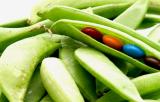 <b>Genetic Engineering I*</b><BR> <i>by Scott Hopkins</i>
