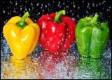 <b>Cleaning the Capsicums</b><br><i>by Vikas</i>