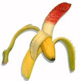 <b>Genetically Modified Banana * </b><br><i> by Wonderstruck</i>