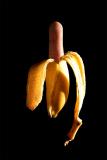 <b>Finger Food</b>