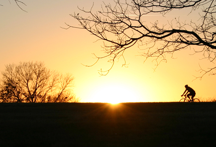 <b>Passion Yields Persistence*</b><br> <i>by Chris O.</i>