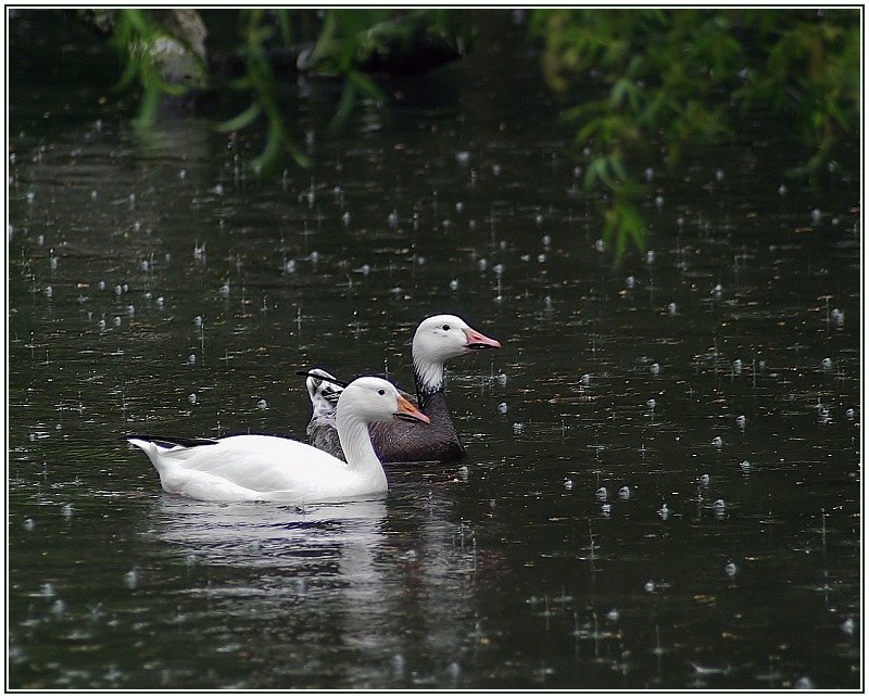 <b>...in good and in rainy days (*)</b>