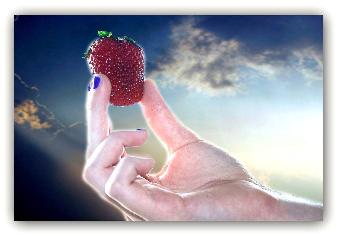 <b>Holy Strawberry</b><BR> <i>by Billy Webb</i>