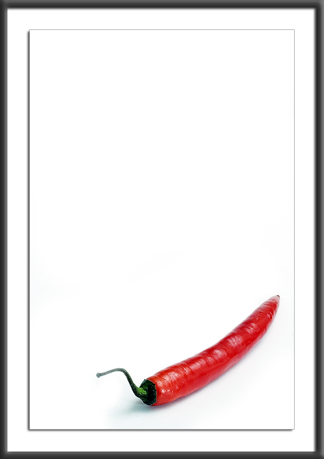 <b>Chilli</b><br><i>by Ian Chappell</i>