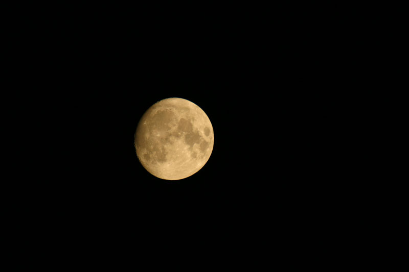July Moon