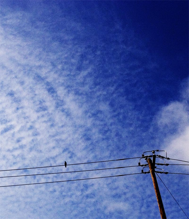 At Rest *