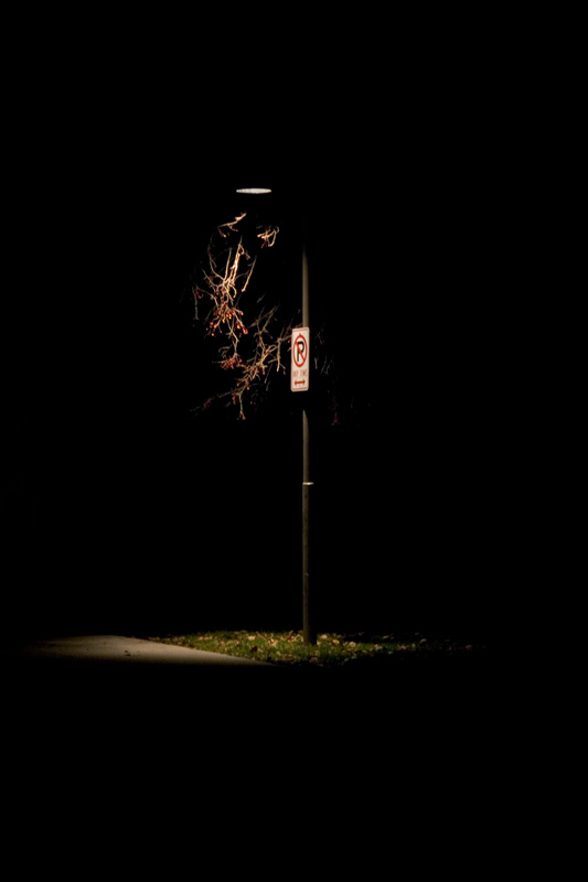 No Park Here*