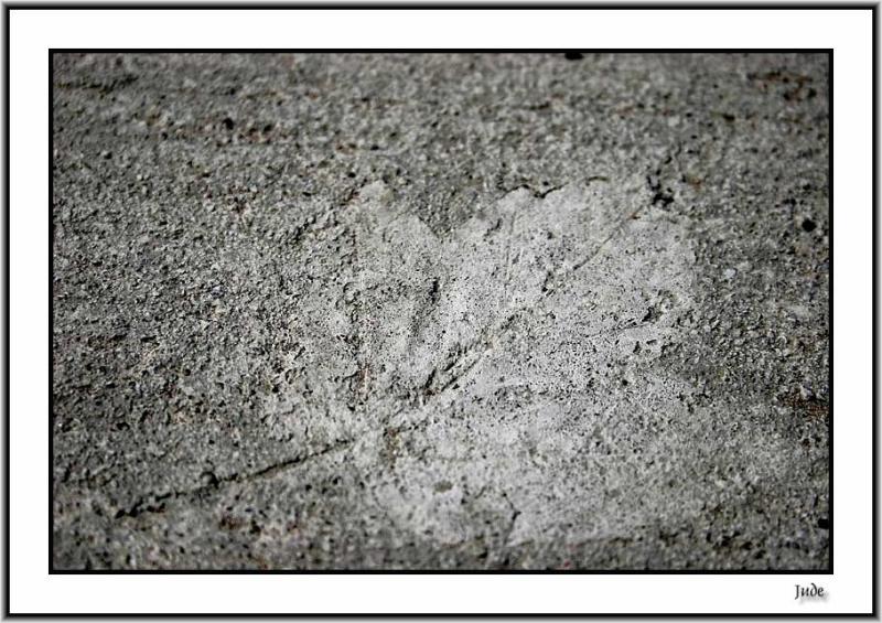 Leafprint