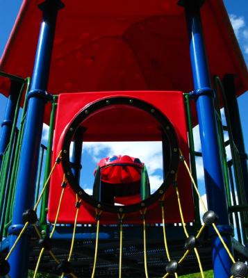 Primary Colors*