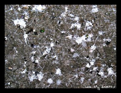 untitled 28(*)