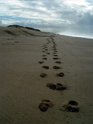 On the Beachthubleau