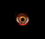 What the Microbe Sees - Sight (*)