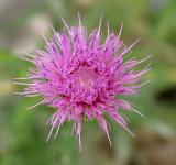Sense of Sight- Natures Beauty