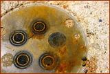 Circles of Rust