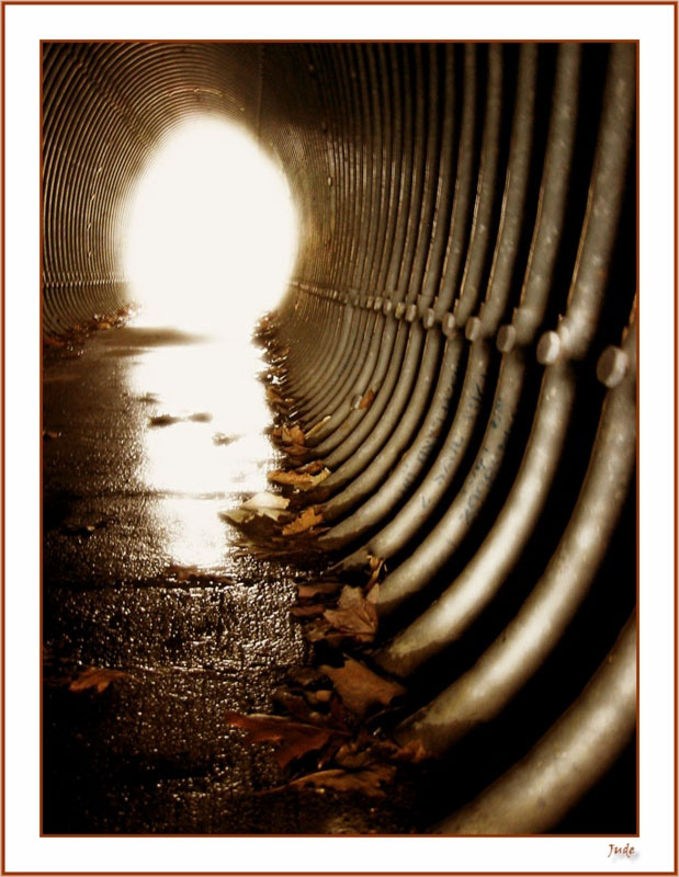 Fearing the Unknown