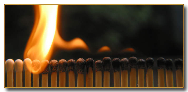 <b>Picket Fence</b>